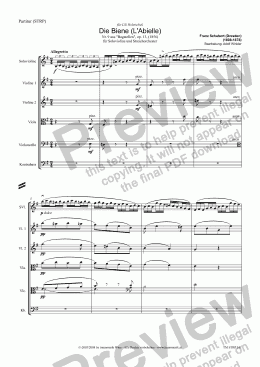 page one of Die Biene (L'Abielle) (STRP/Score & Parts) violin solo & orchestra