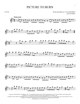 page one of Picture To Burn (Flute Solo)