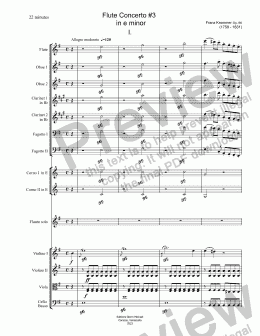 page one of Flute Concerto #3   in e minor
