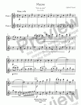 page one of Meow  for Two Flutes