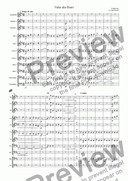 page one of Tchaikovsky: Valse des Fleurs