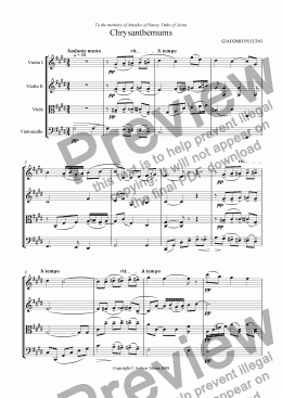 page one of Chrysanthemums / I Crisantemi for string quartet