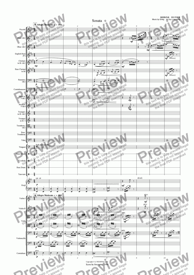 page one of Sonata,The first movement(Grieg piano orchestration)