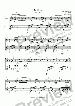 page one of Fur Elise (Flute and Guitar)
