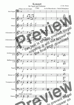 page one of Konzert für Fagott und Orchester