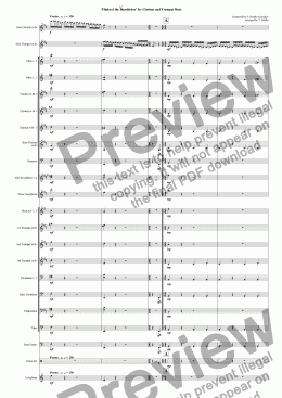 page one of Flight of the Bumblebee for Clarinet and Trumpet Duet