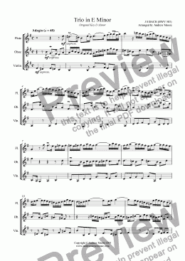 page one of Trio in E minor (BWV 583) - arrangement