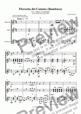 page one of Florecita del Camino (Bambuco) - Andean Colombian Trio
