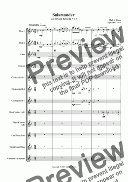 page one of Woodwind Episode No. 5 (Salamander)