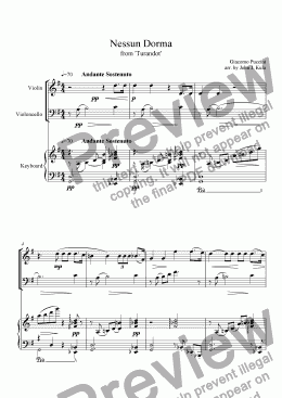 page one of Nessun Dorma - Piano Trio