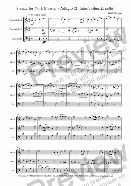 page one of Sonata for York Minster - Adagio (2 flutes/violins & cello)